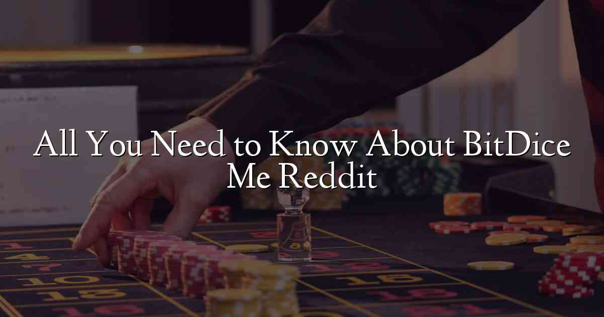 All You Need to Know About BitDice Me Reddit